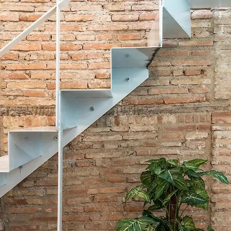 Apartment Atico Duplex Con Dos Terrazas Y Solarium En Plena Carrera De La Virgen